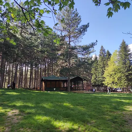 Kaoma * Sokobanja