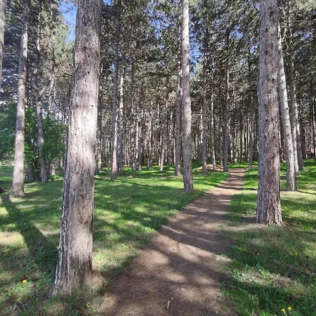 Kaoma * Sokobanja
